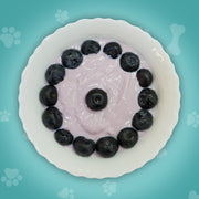 Blueberry Yogurt
