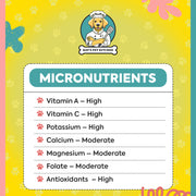 Fruity Paw-radise (fruit salad)