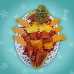 Fruity Paw-radise (fruit salad)