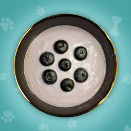 Fury’s berrilicious Yogurt (fruit yogurt)