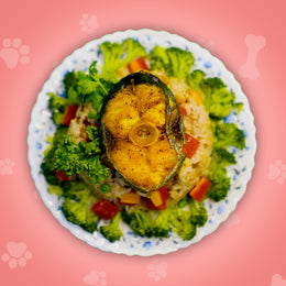 Paws Omega booster (fish bowl)